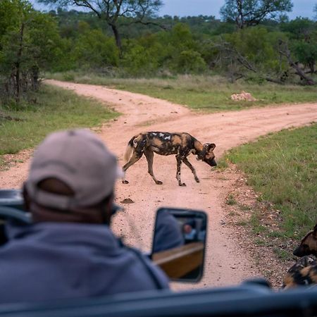 Thornybush Game Lodge Thornybush Game Reserve Exterior foto
