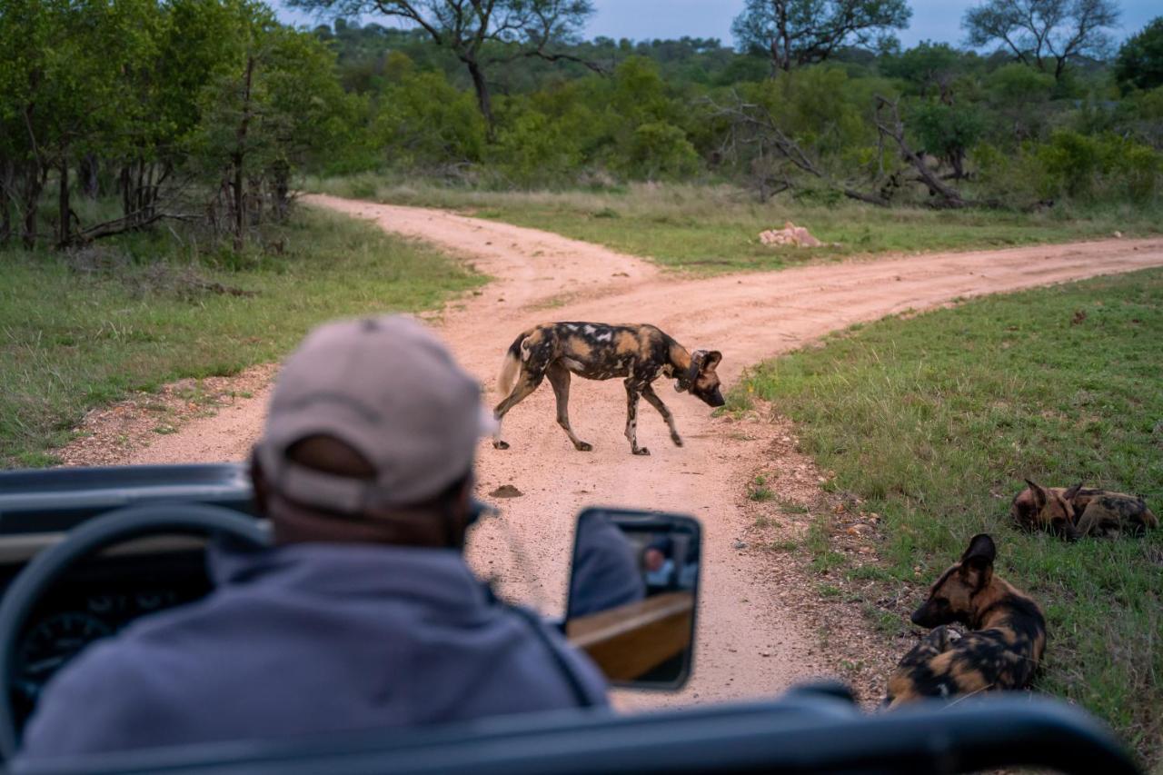 Thornybush Game Lodge Thornybush Game Reserve Exterior foto